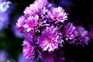 攻击网站在线工具